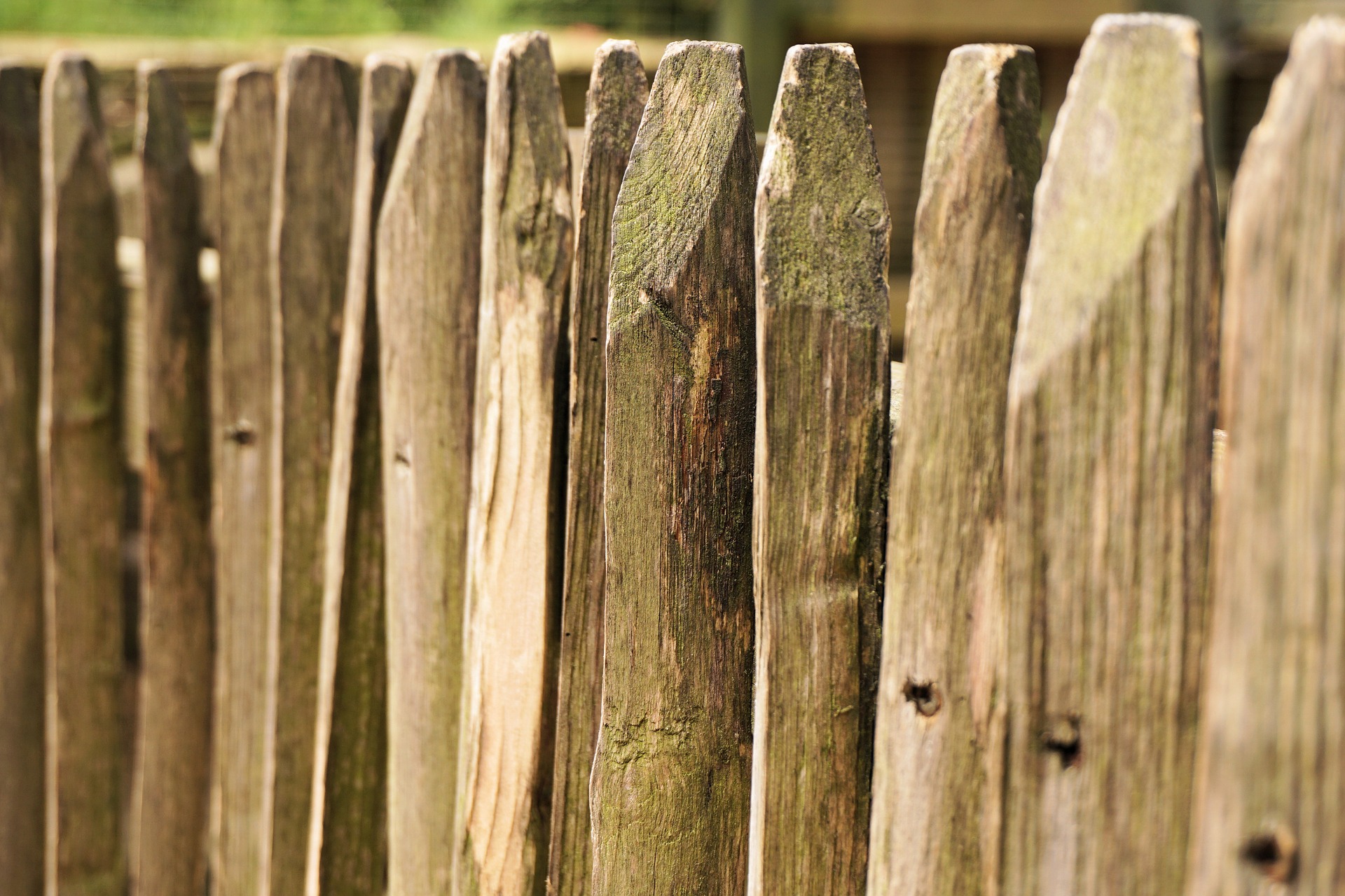 drewniane ogrodzenie