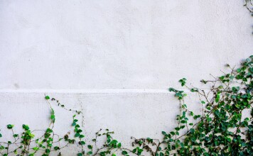Jak zagospodarować skarpę w ogrodzie miejskim