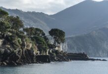 Ile kosztuje 1 tona soli drogowej?