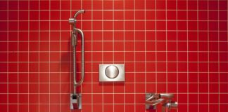 Jaka muszla klozetowa?