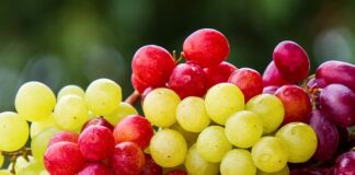 Ile wody i cukru na 10 kg winogron?