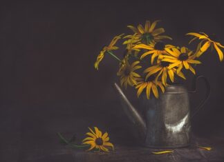 Kiedy włączyć podlewanie automatyczne? Kiedy włączyć podlewanie automatyczne?