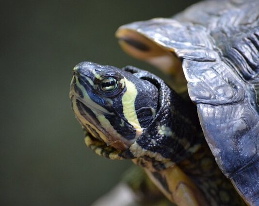 Ile stopni ma jedno piętro?