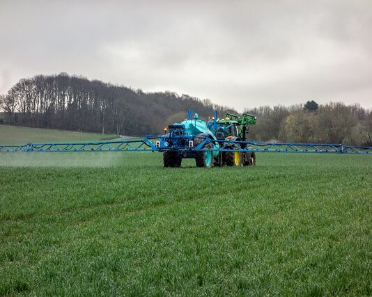 Czy można nawozić trawę w czasie deszczu? Czy można nawozić trawę w czasie deszczu?