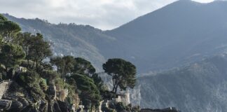 Ile kosztuje komplet sprzęgła?
