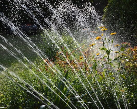 Co ile nawadnianie kropelkowe? Co ile nawadnianie kropelkowe?