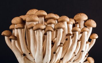 Ile miejsca potrzeba na jadalnie? Ile miejsca potrzeba na jadalnie?