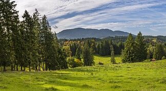 Jak usunąć przebarwienia na desce do krojenia?