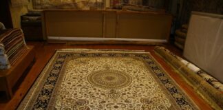 Dywan w kolorach jesieni